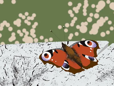 Peacock Butterfly / Paon-du-jour artwork digital digital art digital artwork digital illustration digital painting illustration