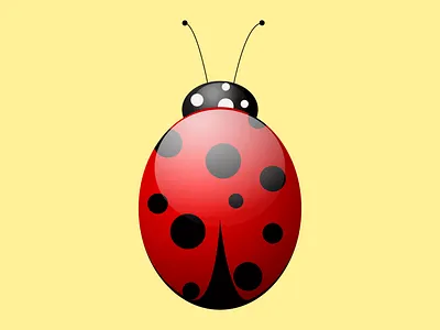 Ladybird isolated on a yellow background. color