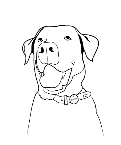 Dog Lab line art illustration black and white dog illustration line art