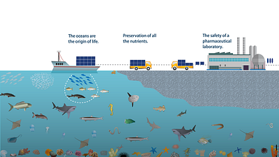 Ocean Life illustration illustration infographic life ocean