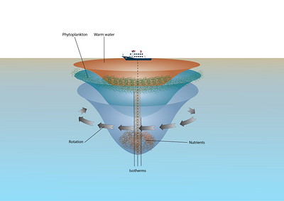 Ocean Layers Illustration art graphic design illustration layers ocean science vector