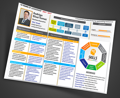 Resume Infographic style design design graphic design illustration infographic resume