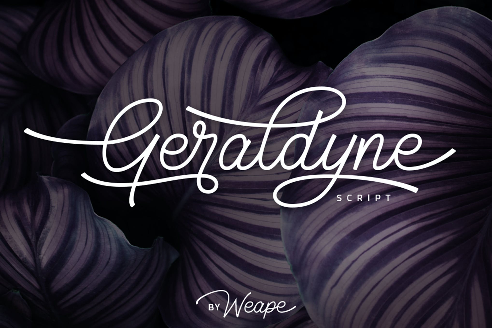 Geraldyne Font app branding design display font graphic design illustration logo script typeface typography ui ux vector