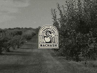 Nachash Cider alcohol apple apple tree branding cider craft craft cider drink garden of eden geometric graphic design identity label label design logo logo design negative space serpent snake tree