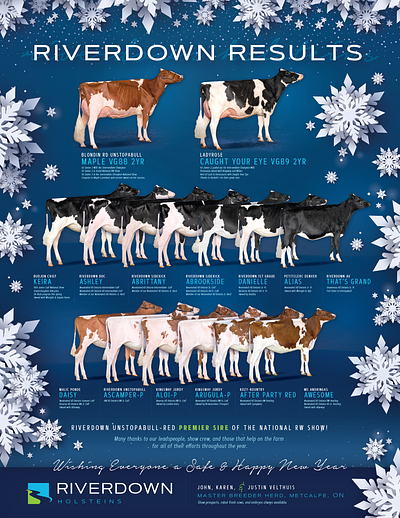 Riverdown Holsteins advertisement cow design cows dairy design full page ad holstein design holsteins magazine ad