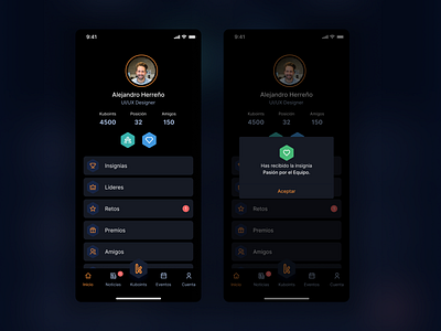 User Profile - Dark Theme branding darktheme design figma light theme profile sketch ui user profile ux