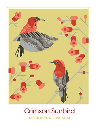 Crimson Sunbird animal bird character crimson design flight geometric illustration red sunbird texture vector