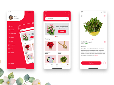 Gift App Concept branding giftapp graphic design ui