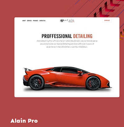 Hey Wanna buy a new car..Here it is. branding carservices design ui