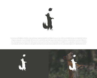 Squirrel Logo !! design icon illustration logo minimal logo minimalistic logo squirrel vector