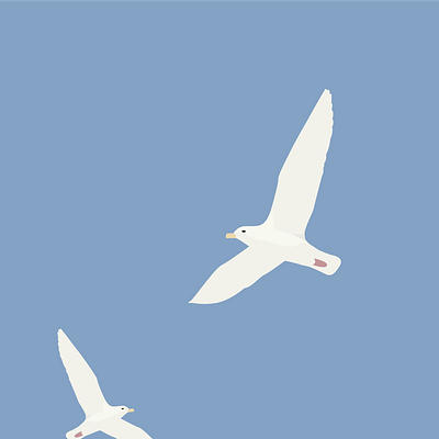 Birds - Nice adobe birds draw graphic design illustration illustrator minimaliste ocean sea seagull vector