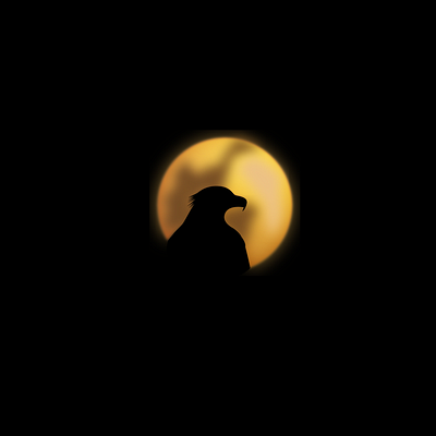 Night Eagle adobe bird draw eagle graphic design illustration illustrator minimaliste moon night