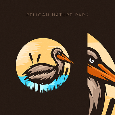 Pelican Nature Illustration design detailed drawing illustration nature pelican pelicans vector