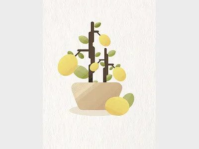 Lemon Tree