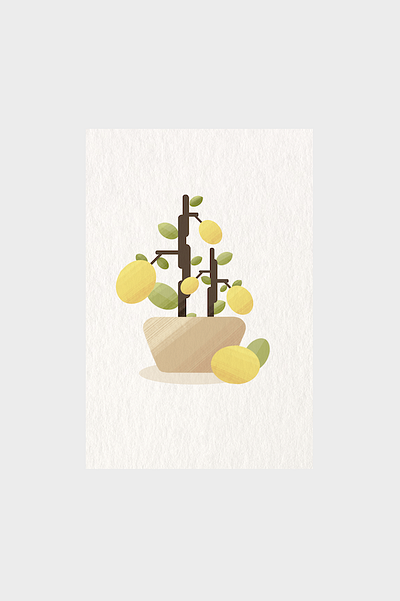 Lemon Tree