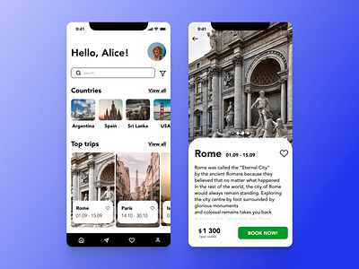 Travel agency app agency app design plane travel ui ux