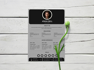 CV/Resume business company curriculum cv design document interview job resume template vector work