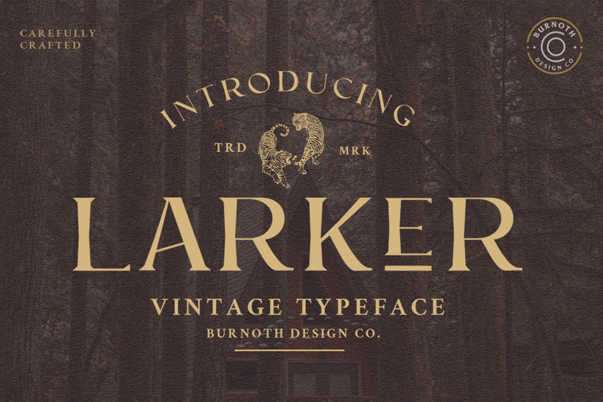 Larker Vintage Typeface app branding design display font graphic design illustration logo retro serif typeface typography ui ux vector vintage