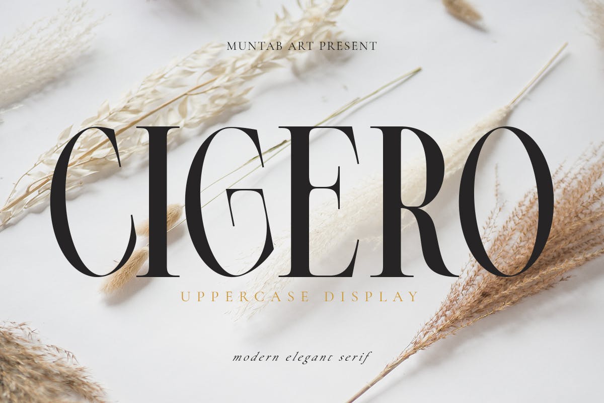 Cigero | Modern Serif Font app branding design display font graphic design illustration logo modern serif typeface typography ui ux vector