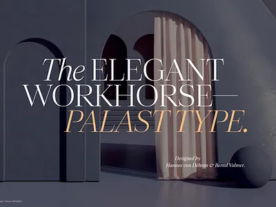 The elegant workhorse: Palast Type. branding design fonts hvd optical sizes serif serif type ty type system typedesign typeface typography variable variable font