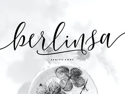 Berlinsa Script Font lettered
