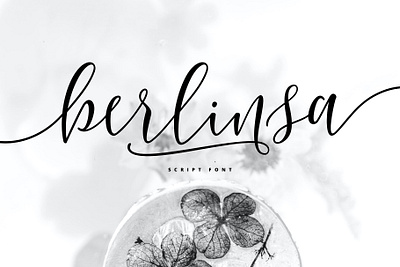 Berlinsa Script Font lettered