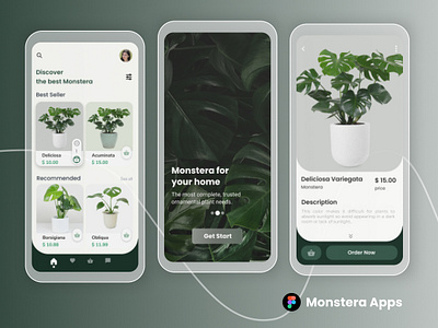 Plant Monstera App UI Kits