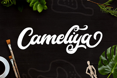 Cameliya Typeface app bold bold font branding design display font graphic design illustration logo serif typeface typography ui ux vector