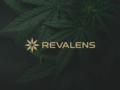 Revalens Branding applications brand branding cannbis green logo logotype plant plantations star ui weed