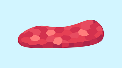 A piece of meat food geometry illustraion illustrator meat picture