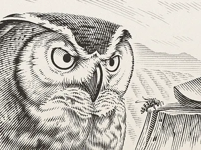Owl and Bee bee bird birds engraving hand drawn illustration nature outdoors owl packaging illustration pen and ink pen drawing scraperboard scratchboard traditional woodcut