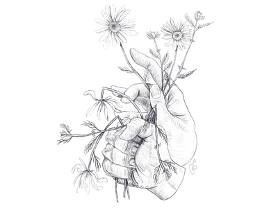Difficult Hands clip studio clip studio paint daisies dead flowers digital art drawing flowers hand hands hands holding flowers illustration illustrator pencil pencil drawing