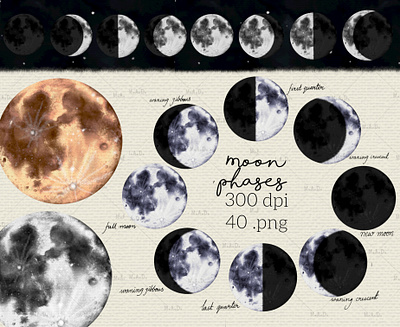 Collection of Digital Illustrations of Moon Phases clipart digital clipart digital illustration digital watercolor illustration illustration magical moon moon clipart moon phases clipart mystical moon png skygazing clipart space clipart watercolor watercolor clipart watercolor graphics watercolor moon watercolor moon phases
