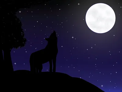 The Wolf and the Moon adobe illustrator art digital illustration digitalart illustration moon moonlight silhouette star starynight vector art wolf moon moonlight