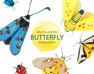 Butterfly watercolor aquarell background butterfly collection colorful illustration moth png watercolor