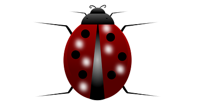 Lady Bug art design graphic illustration inkscape vector