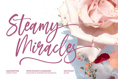 Steamy Miracles - Handwritten Font branding design font fonts logo logo type typography ui