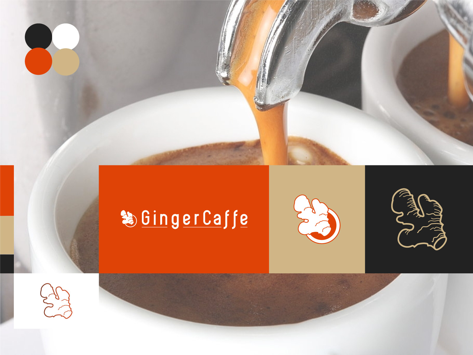 Example of Logo Design