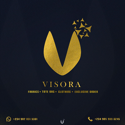 the Visora logo branding design graphic design illustration logo typography vector