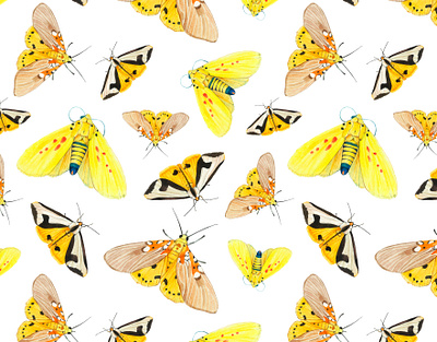 Seamless pattern with yellow butterfly aquarell background butterfly collection colorful illustration moth pattern seamless watercolor yellow