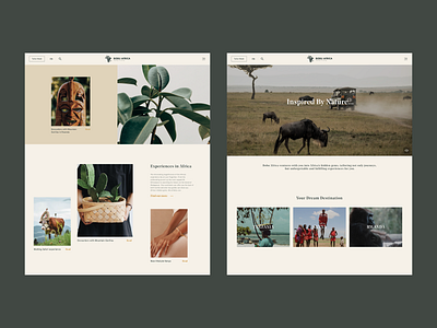 Lifestyle&Travel Web Design 553dr africa art direction elephant green lifestyle travel ui ui design ux web web design