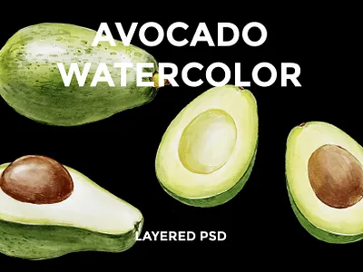 Avocado Watercolor avocado avocado illustration avocado watercolor creative market food food illustration food watercolor fruit watercolor graphics illustration watercolor