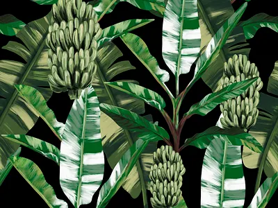 Banano leaves Pattern black green illustration leaves pattern plants procreate tropical vector