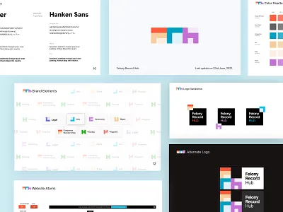 Felony Record Hub Brand and Logo branding corporate design goverment illustration logo logo goverment vector