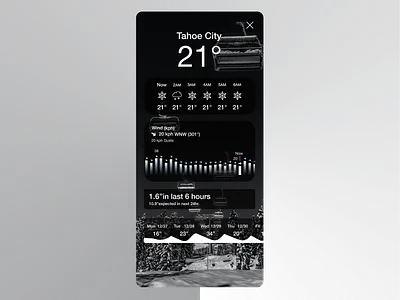 Daily UI 37 | Weather - Ski (Snow Forecast) app design ui