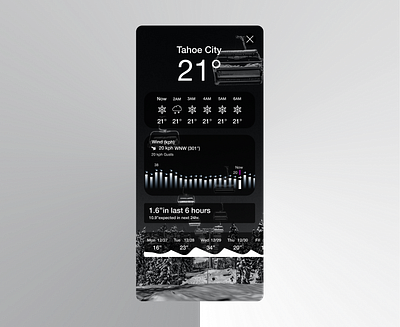 Daily UI 37 | Weather - Ski (Snow Forecast) app design ui
