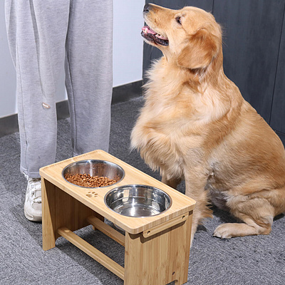 Stainless Steel Elevated Dog Bowls design product