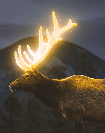 Shiny Horn