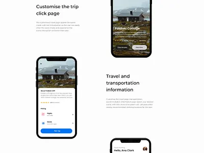 Flink Travel Application app branding design flink icon travel ui