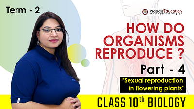 Sexual reproduction in flowering plants | CLASS 10 CBSE CHAPTER asexualreproduction femaleproductiveflower learningapp organismreproduce partsofflower pollination praadisedu praadiseducation threeagentsofpollination